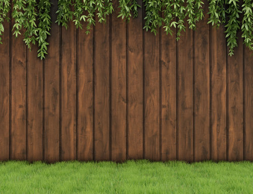Top FAQs – Cedar Wood Fence