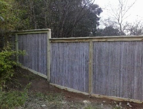 Going Green with a Bamboo Fence