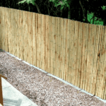 bamboo cane fence