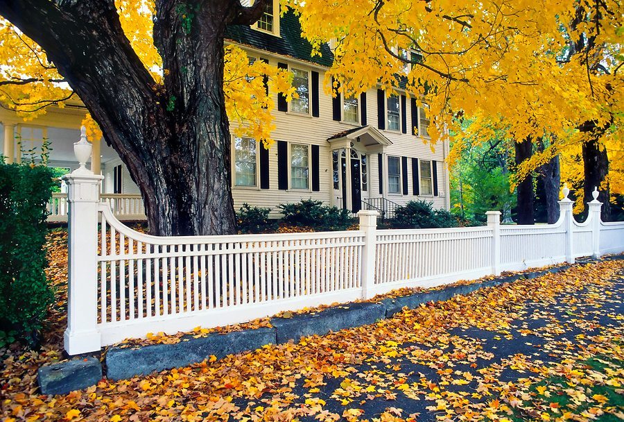 10 Things You Need to Know Before You Build a Fence