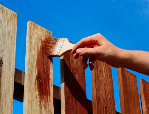 Should I Paint or Stain My Wood Fence?