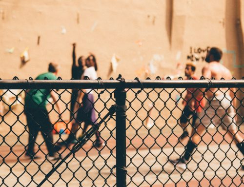 7 Least Expensive Fence Options Compared for Affordability