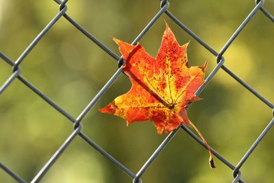 Chain Link Fence Details