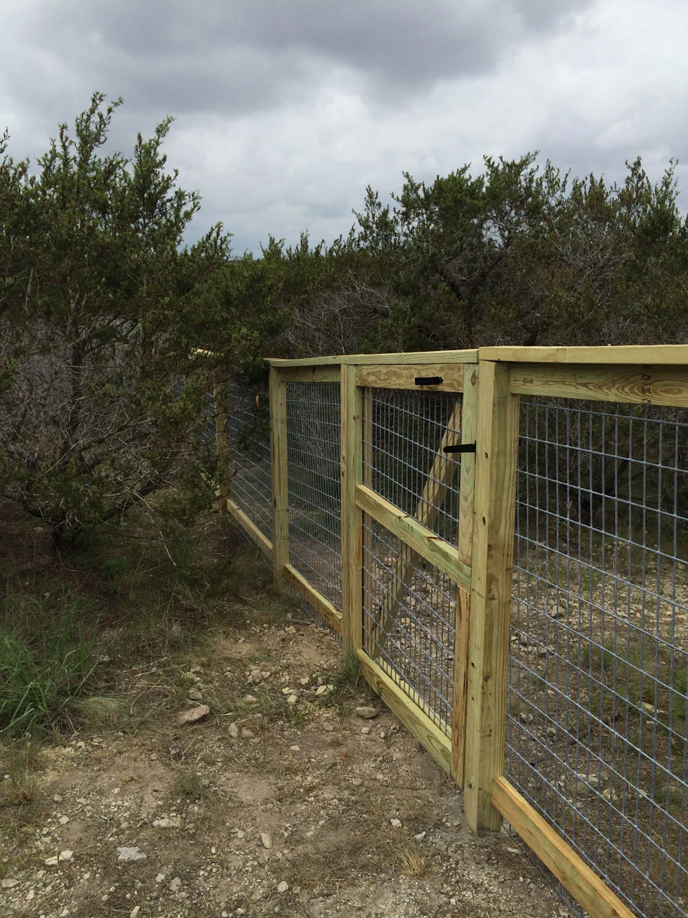 Decorative cattle panel fence built by B.C. Fence Austin in the Austin, TX area