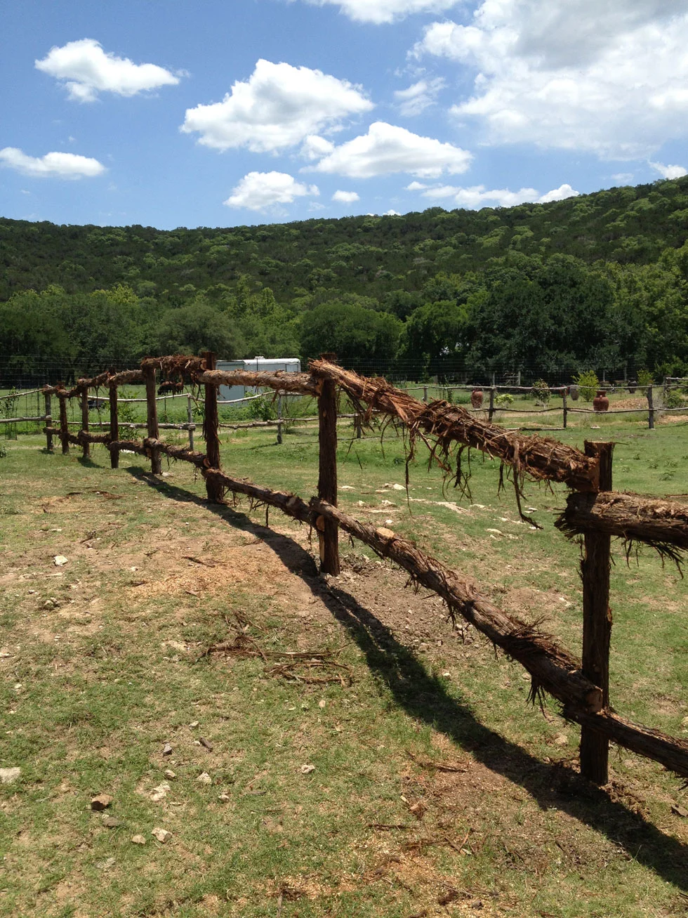 Residential fence installed by B.C. Fence in the Austin area