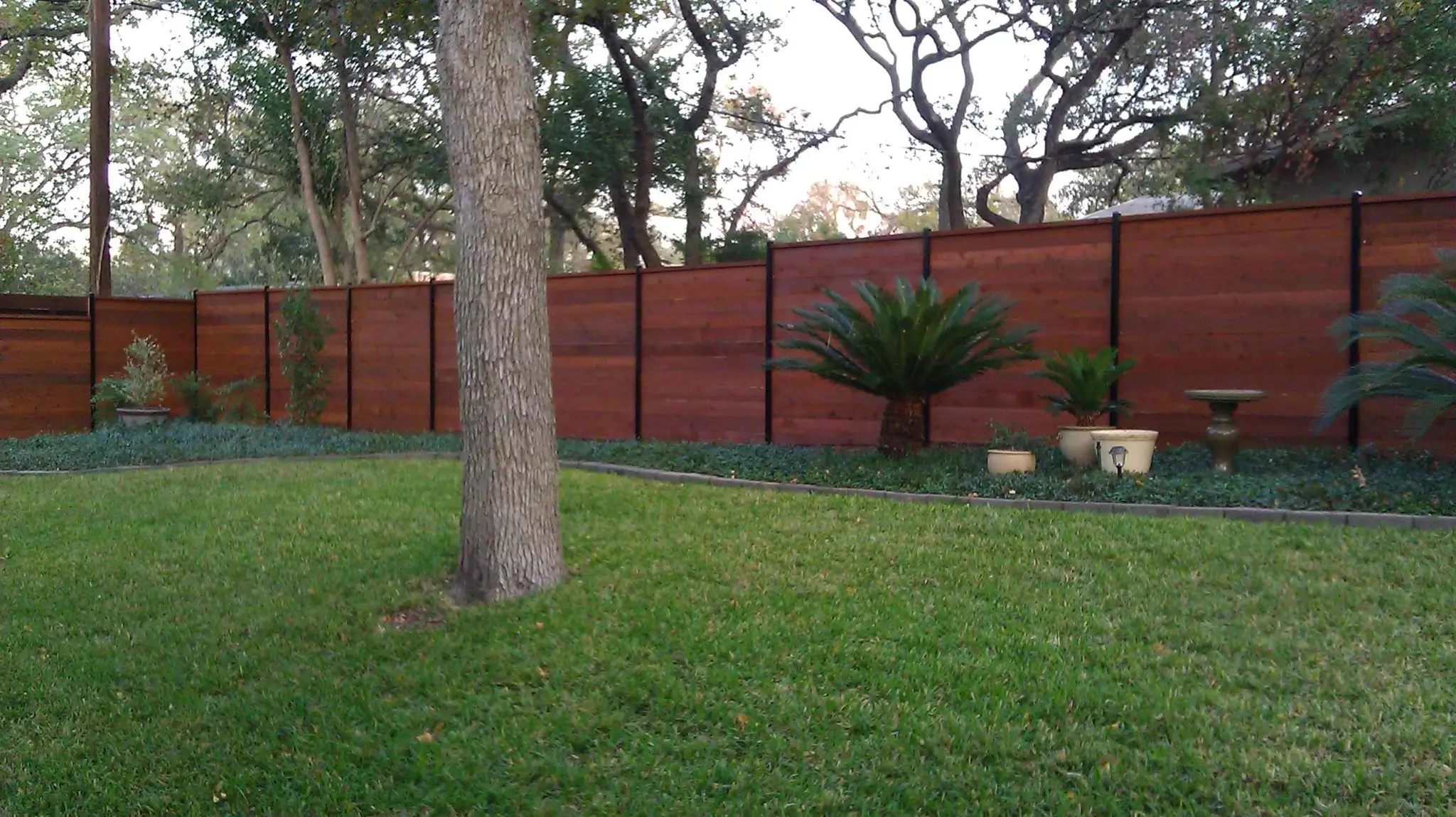 Cedar wood privacy fence built by B.C. Fence Austin in Austin, TX