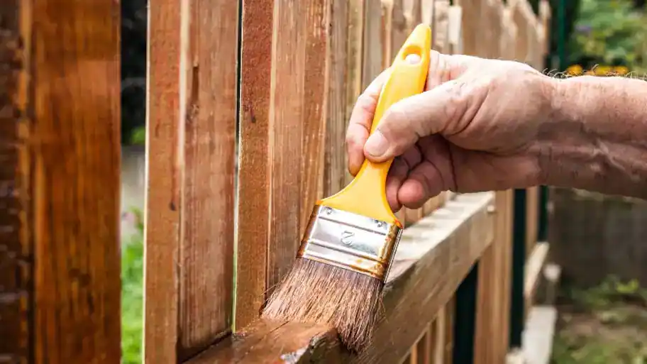 How to take care of your Redwood Fence?