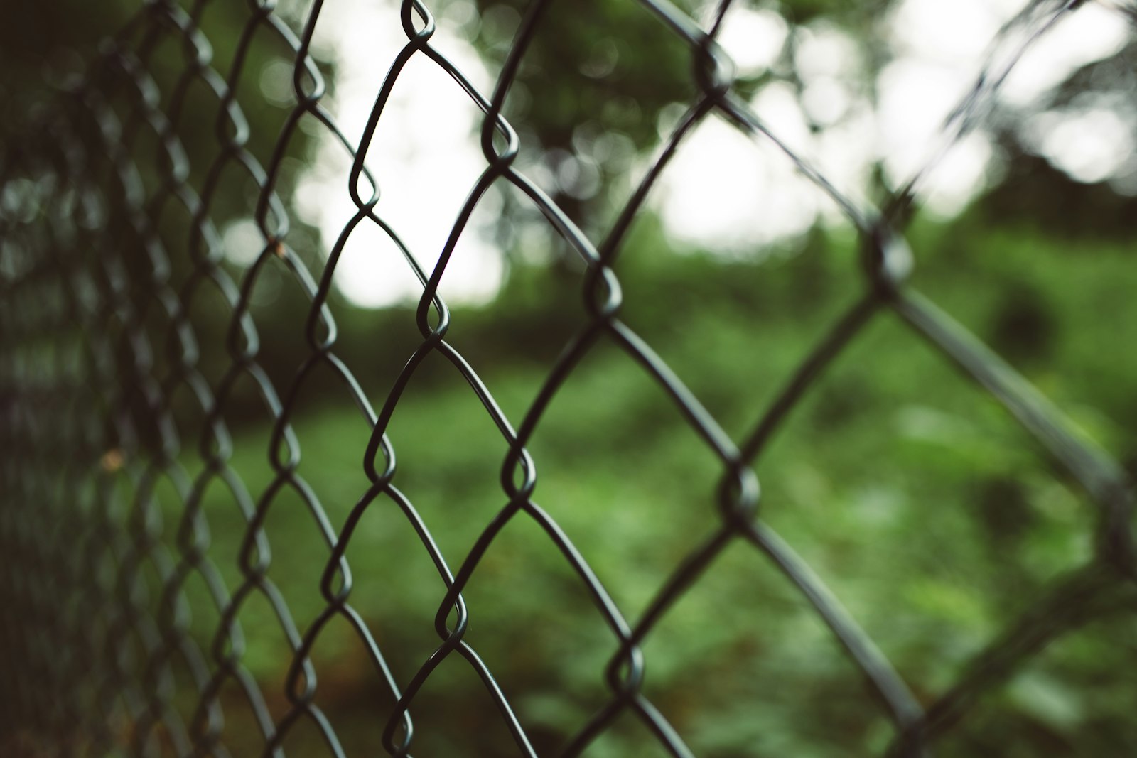chain link fence - cost to install 6ft chain link fence