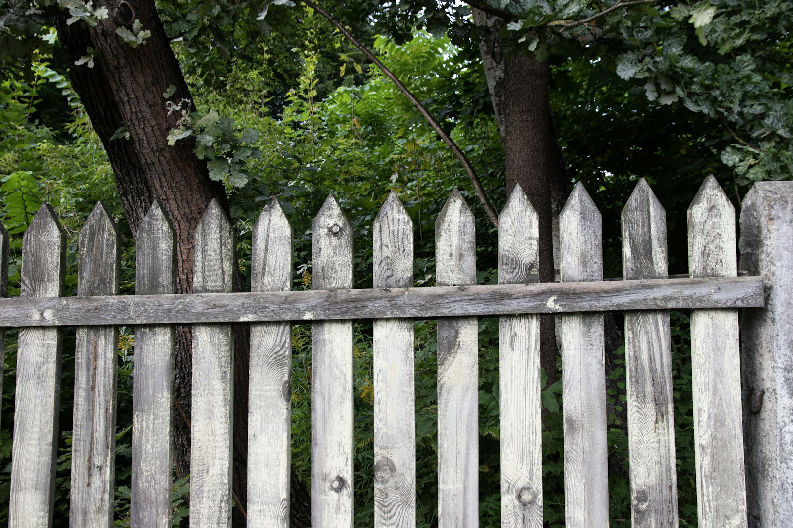 fence replacement - Fence replacement cost Austin