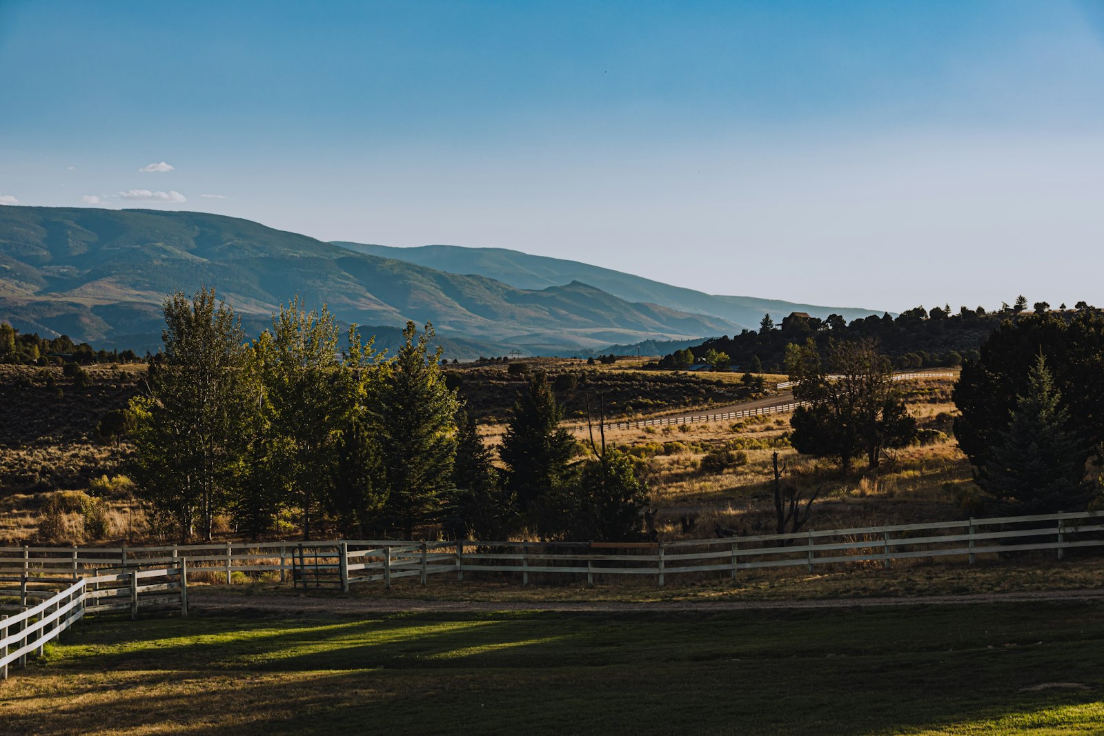 ranch fencing options - ranch fencing options