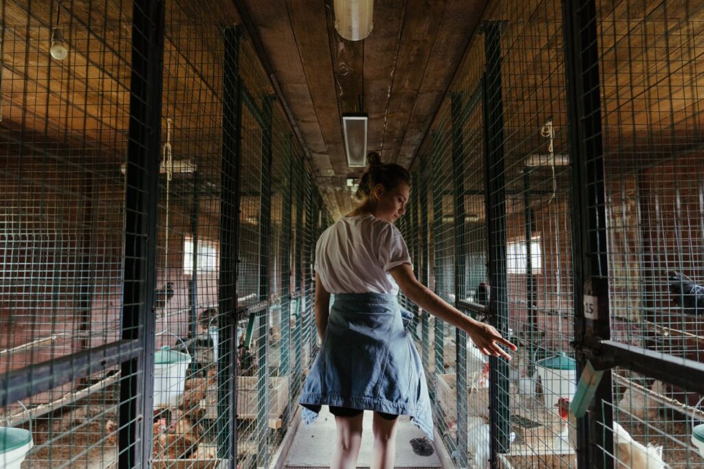The Wire Fence Lineup: Exploring Your Options